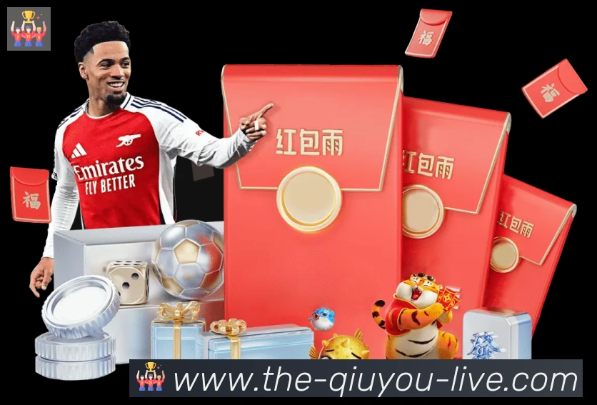 未来规划